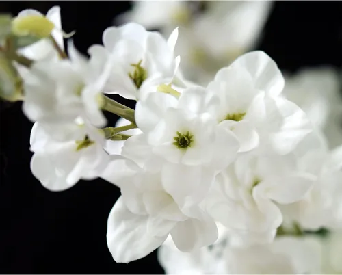 Vista 4 de FiveSeasonStuff Real Touch - Flores artificiales blancas Delphinium - 3 tallos realistas de flores artificiales para centros de mesa de boda