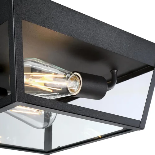 Vista 5 de Westinghouse 6121900 Peterson - Lámpara de techo transitoria con dos luces, acabado negro texturizado, cristal transparente
