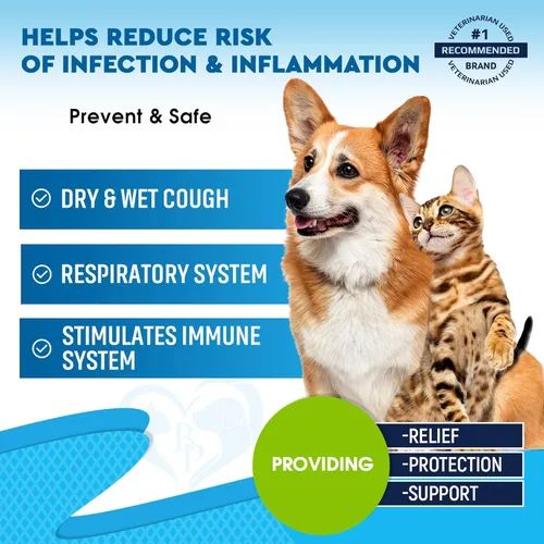 Vista 2 de Kennel Cough Treatment & Natural Infection Medicine for Dogs & Cats - Respiratory & Cold Cough Relief - Collapse Trachea & Cat Asthma Support - Made