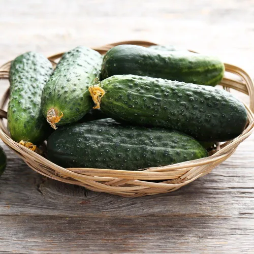 Vista 6 de Semillas Campeón de arbustos de pepino - Polinizado abierto - Vegetales tradicionales - Sin OMG