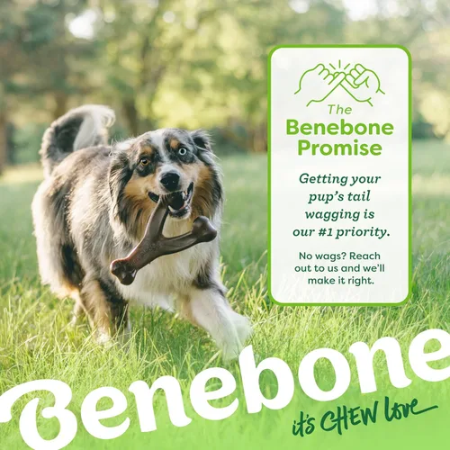Vista 7 de Benebone Wishbone - Juguete masticable duradero para perros para masticadores agresivos, fabricado en Estados Unidos, pequeño, sabor a tocino real