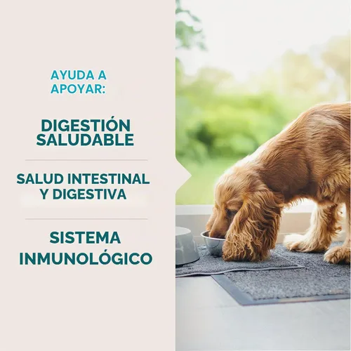 Vista 4 de VetIQ Probióticos para gatos, golosinas para la salud digestiva