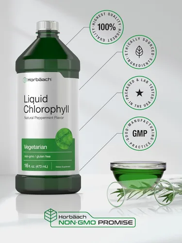 Vista 6 de Horbäach Gotas líquidas de clorofila 100 mg 32 onzas (2 botellas de 16 onzas) Sabor natural de menta Vegetariano, sin OMG, suplemento sin