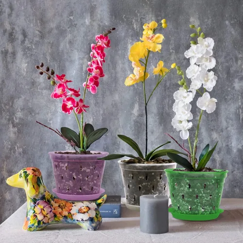 Vista 7 de Maceta de orquídeas, 7 pulgadas, paquete de 8 macetas de orquídeas con agujeros y platillos, maceta de plástico transparente para interiores