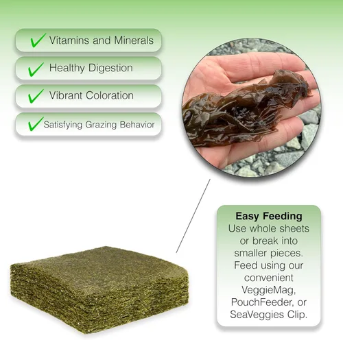 Vista 3 de Two Little Fishies Atlsvgsb Sea Veg-Green Seaweed a granel 100 hojas