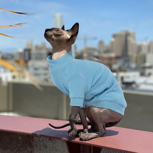 Vista 5 de PUMYPOREITY Ropa para Gatos: Camisa Elástica, Suéter con Mangas, Pijama de Forro Polar Suave para Gatos Sphynx, Devon Rex - Azul, XS