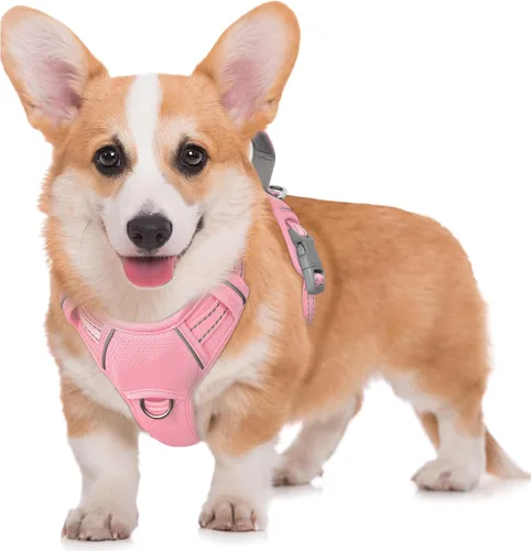 Vista 100 de BARKBAY Arnés para Perro Sin Tirones Talla Grande Arnés Reflectante para Perro con Clip Frontal y Asa de Control Fácil para Caminar Entrenar Correr