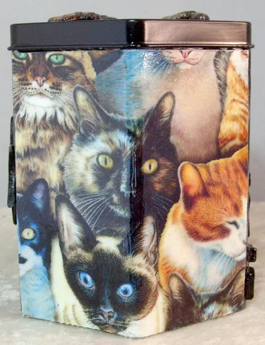 Vista 3 de Decorative Tzedakah Box - Los Gatos