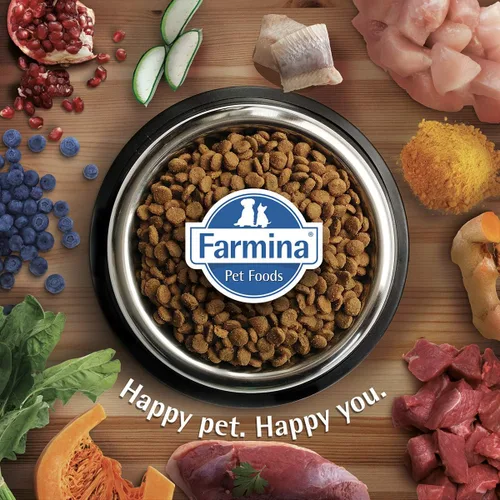 Vista 6 de Farmina - Alimento seco para perros adultos sin granos con calabaza, pollo y granada, mini raza