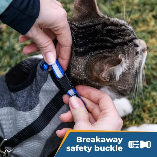 Vista 3 de Collares reflectantes personalizados para gatos, Negro