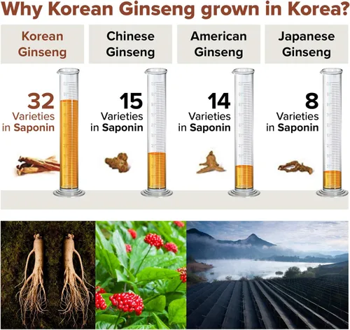 Vista 6 de Extracto de raíz de ginseng rojo Panax fermentado coreano de 10.58 oz listo para tomar - Saponina HANPPURI de BTGin - Inmune, refuerzo