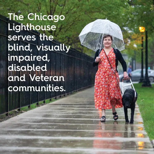 Vista 2 de Chicago Lighthouse Reloj atómico digital de pared/escritorio de 10"x7", plateado