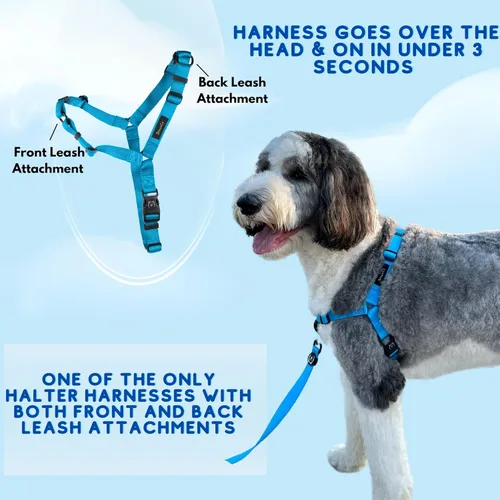 Vista 6 de ShawnCo Dream Walk - Arnés para perro sin tirones, ajustable, cómodo, fácil de usar, para ayudar a dejar de tirar, para perros pequeños, medianos