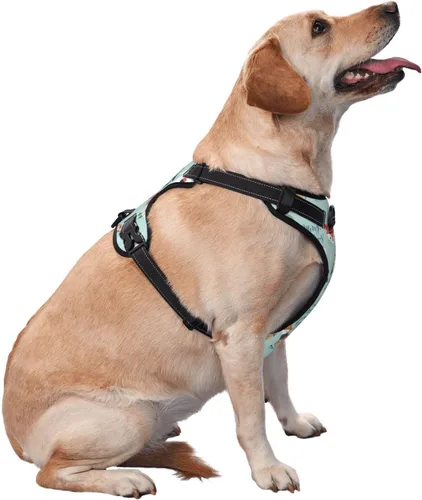 Vista 2 de Arnés de chaleco para perros pequeños, medianos y grandes, con asa de fácil control, correa reflectante para pasear cachorros, entrenamiento, arnés