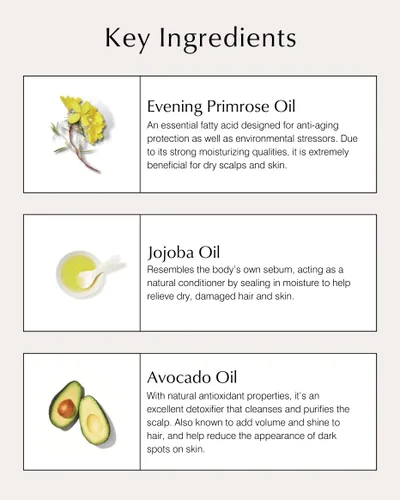 Vista 5 de John Masters Organics Champú para cabello seco de 16 onzas 70% + ingredientes orgánicos Sin sulfato Onagra orgánica Libre de crueldad