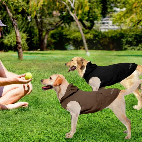 Vista 7 de Sudadera básica con capucha para perro y cachorro, 2 piezas, suave y cómoda, comodidad y ajuste superiores, suéter con capucha de seguridad