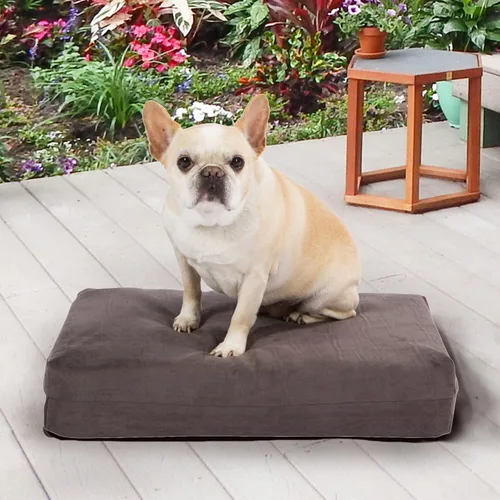 Vista 7 de Pet Support Systems cama ortopédica lavable Espuma de memoria perro, pequeño, 22 pulgadas x 16 pulgadas x 4 pulgadas, gris carbón