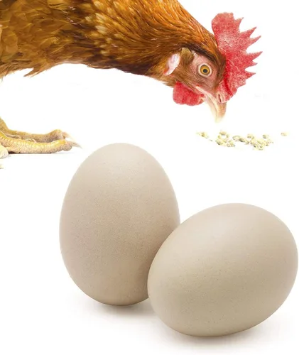 SunGrow Huevos de madera falsos para entrenar a los pájaros de que no se pongan en las cajas de anidación y para dejar de comer sus propios huevos,