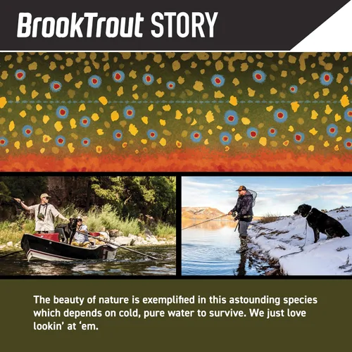 Vista 2 de Wolfgang - Collar de perro resistente y ajustable con hebilla de nailon de liberación rápida para caminar y entrenar, estampado BrookTrout, talla S