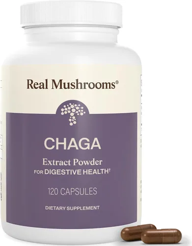 Real Mushrooms Cápsulas de hongos Chaga – Polvo de extracto de chaga orgánico con extracto en polvo para bienestar y apoyo energético – Vegano, sin