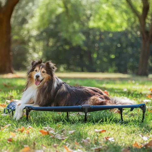 Vista 7 de CANINE CANYON Daisy Cot, Cama Elevada Plegable Mediana para Perro, Cama Portátil Elevada para Exteriores Plegable para Perro, Refrescante, A Prueba
