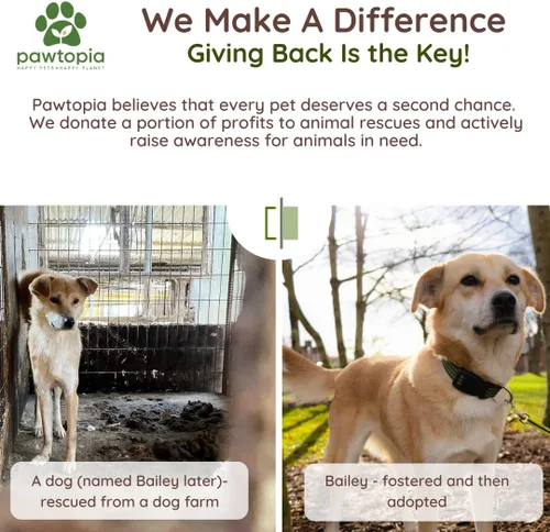 Vista 7 de Pawtopia Bolsas biodegradables para excrementos de perro, 60 unidades, compostables para el hogar, a prueba de fugas, fáciles de abrir