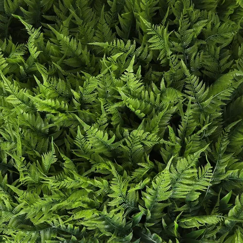 Vista 13 de 3rd Street Inn Panel de vegetación, pared de seto artificial, telón de fondo de pared de plantas falsas, pantalla de privacidad, paneles Banyan