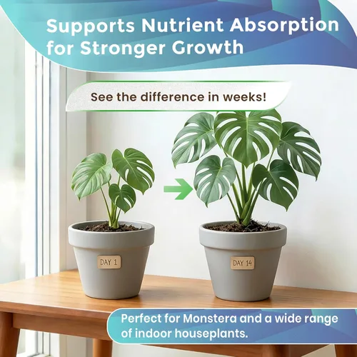 Vista 4 de Monstera Plant Soil Premium - Mezcla multiusos Grande 2.2 cuartos de galón Listo para usar para contenedores de interior y plantas