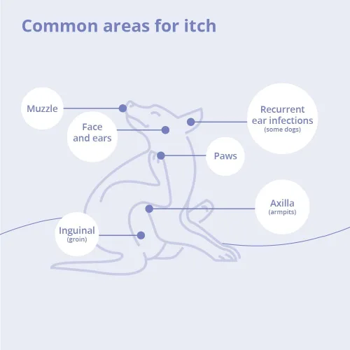 Vista 5 de MiconaHex+Triz Champú para perros, gatos y caballos, galón