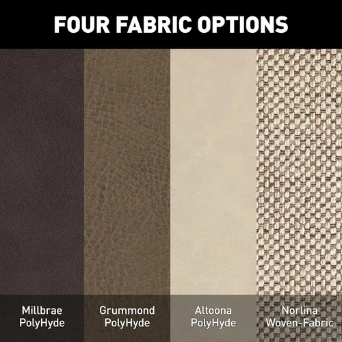 Vista 8 de THOMAS PAYNE Colección de asientos de teatro, reclinable, mano izquierda, para caravanas de 5ª rueda, remolques de viaje y autocaravanas