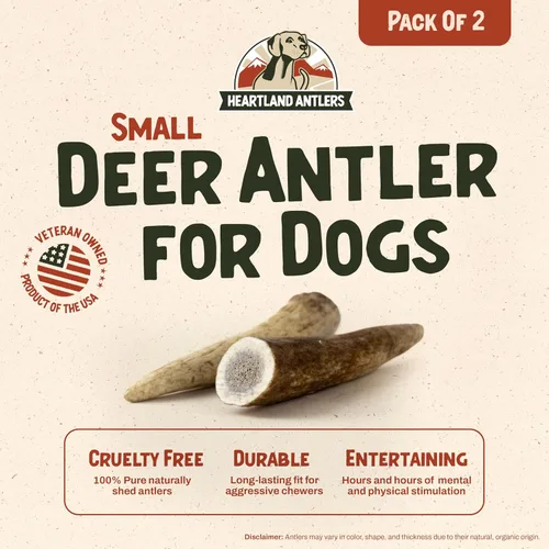 Vista 2 de Heartland - Astas de ciervo para perros - Masticables diarios para el cuidado dental para masticadores agresivos para reducir la placa y prevenir