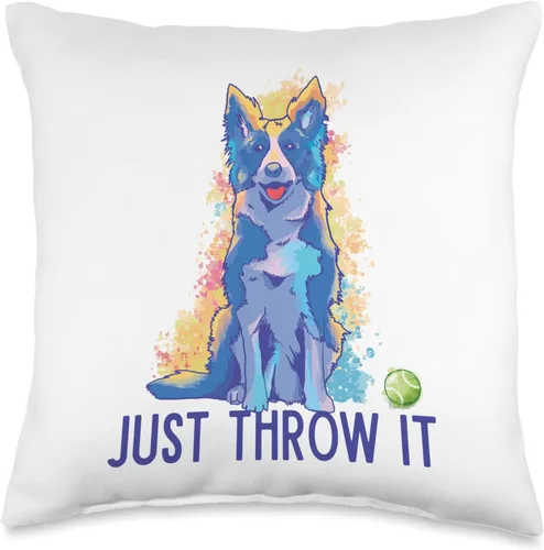 Border Collie Gifts For Dog Agility Training Border Collie Love Just Play Fetch Dog - Almohada de 16 x 16 pulgadas, multicolor