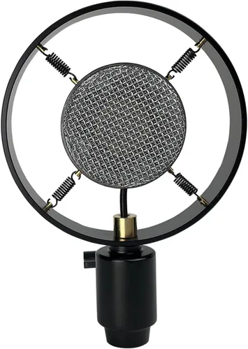 Antiguo Vintage Teatro Clásico Discurso Vivo Vocal 1.024 in Gran Diafragma Condensador Micrófono Reemplazo
