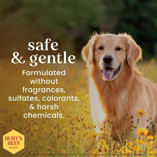 Vista 8 de BURT'S BEES FOR PETS Champú calmante para la picazón con madreselva, 2 unidades, fórmulas de origen 95% natural, champú para perros con picazón