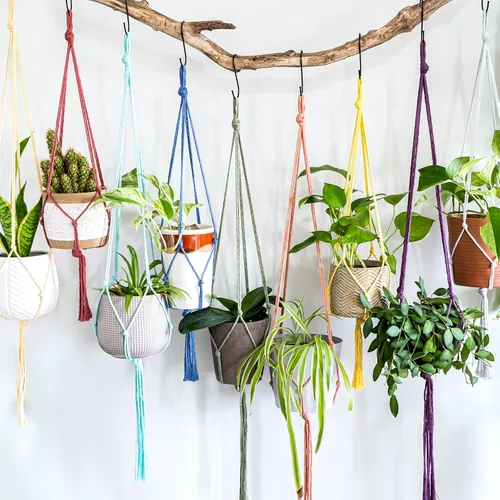 Vista 4 de Cuerda de macramé de 0.079 in x 220 yardas (656 pies), cuerda de algodón natural para colgar en la pared, ganchos de plantas, manualidades, Verde