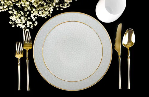 Vista 3 de PLASTICPRO 30 Pack Platos de Plástico Martilleados Platos de Plástico Desechables Pesados Platos de Fiesta Elegantes Transparentes Blancos con Borde