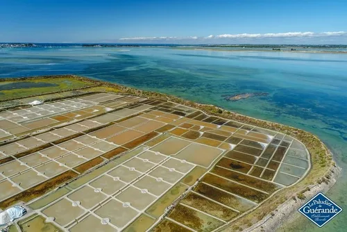 Vista 3 de Grey Salt (Sel Gris) en Shaker por Le Paludier