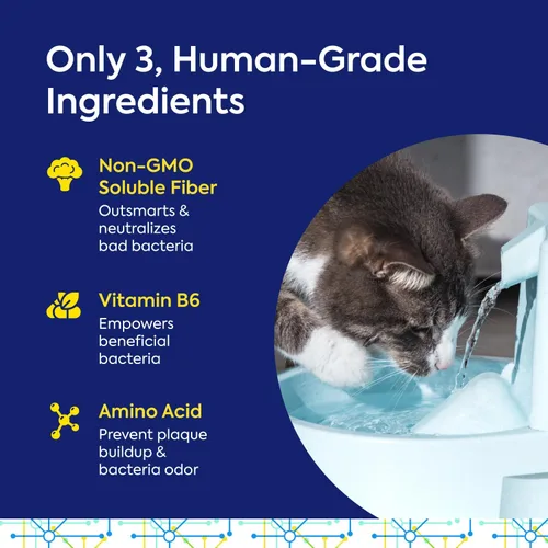 Vista 6 de TEEF FOR LIFE Protektin42K - Polvo dental prebiótico sin sodio, fórmula de origen vegetal, clínicamente probada que combate naturalmente el mal