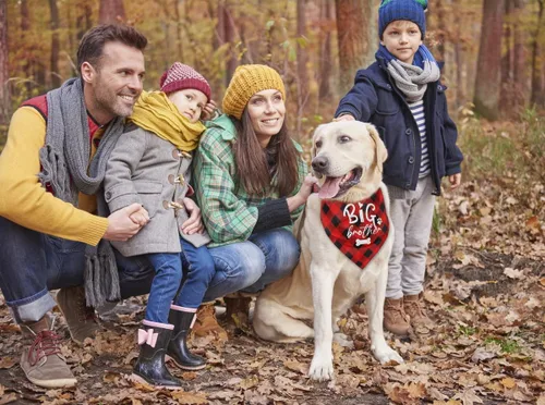 Vista 3 de Bandana para perro, pañuelo para perro de hermano mayor, bufanda para perro, impresión a cuadros, accesorios para bufanda para perro, bufanda
