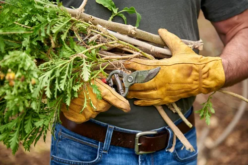 Vista 4 de Corona BP 3180D Tijeras de podar forjadas clásicas de derivación con capacidad de corte de 1 pulgada, 1", Rojo