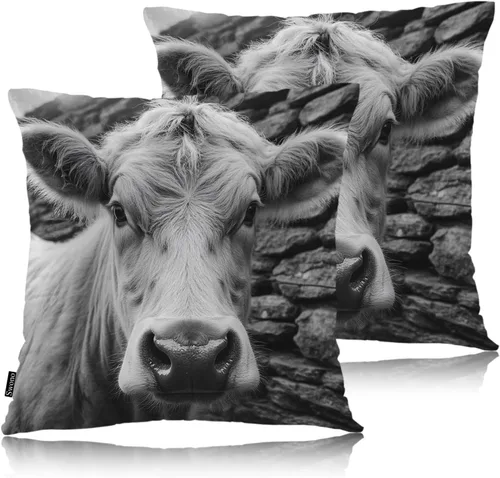 Vista 18 de Swono Juego de 2 fundas de almohada decorativas con flores de hiedra, fundas de almohada de flores abstractas con flores de granja para sofá, cama