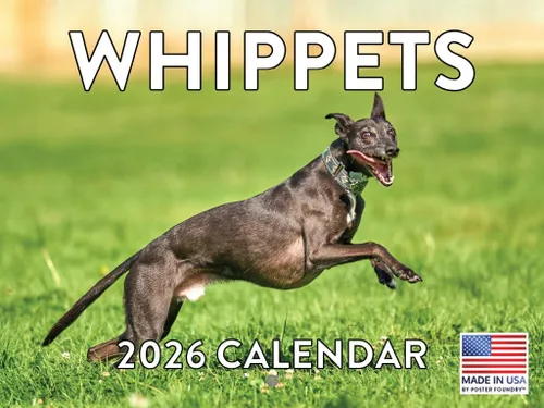 Vista 68 de Calendario de pared mensual 2025 Great Dane de 12 meses, fabricado en Estados Unidos