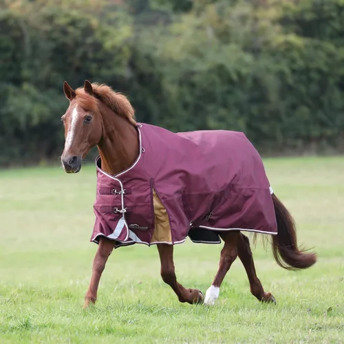 Vista 2 de Highlander Plus - Manta de cuello estándar para caballo (3.53 onzas, color granate, 60 pulgadas)