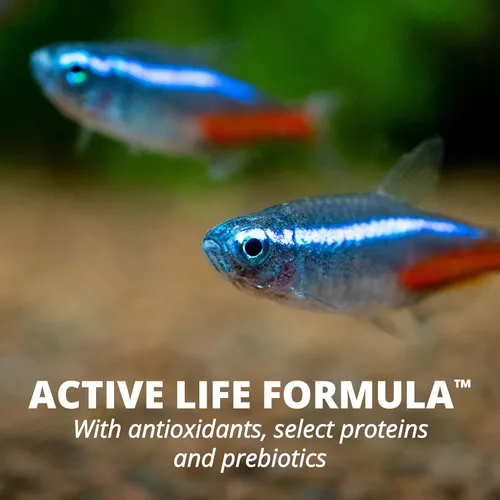 Vista 9 de Tetra Color Tropical Flakes, alimento para peces que aumentan el color, dieta nutricionalmente equilibrada para peces tropicales, 2.2 libras