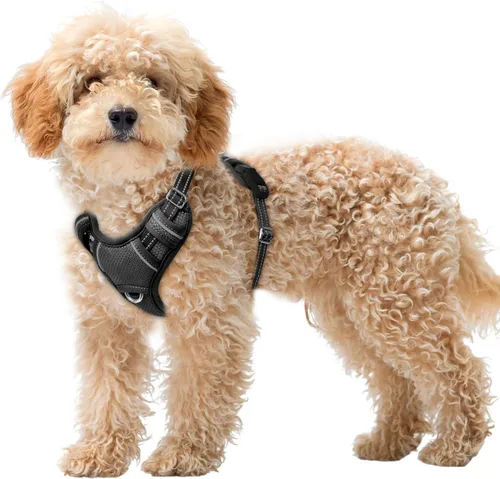Vista 72 de BARKBAY Arnés para Perro Sin Tirones Talla Grande Arnés Reflectante para Perro con Clip Frontal y Asa de Control Fácil para Caminar Entrenar Correr