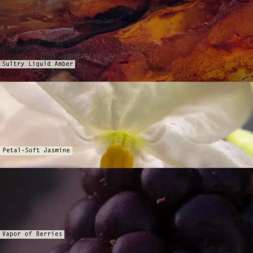 Vista 2 de Illume Vela perfumada pequeña bellamente hecha, BlackBerry Absinthe