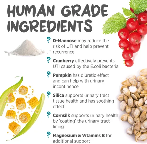 Vista 6 de maxxipaws maxxiUtract Soporte urinario y de vejiga - Suplemento en polvo para gatos, 3.2 onzas