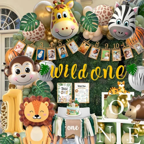 Daidle Decoraciones de cumpleaños Wild One, decoraciones de primer cumpleaños para niño o niña, pancarta de fotos, caja de globos, guirnalda de