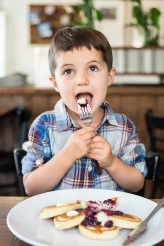 Vista 5 de Josie's Best Mezcla para panqueques sin gluten (libre de soja, nueces y lácteos también) sabe increíble ingredientes simples