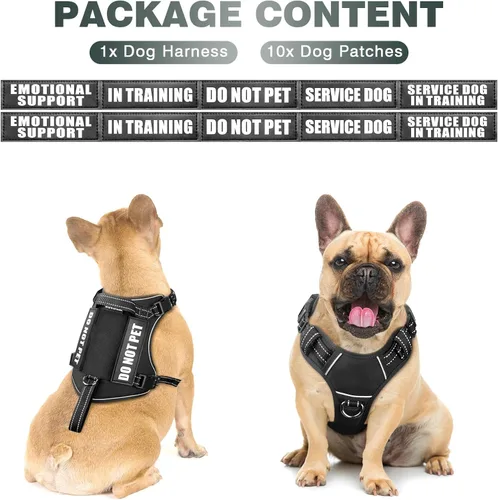 Vista 2 de WINSEE Arnés táctico para perro, arnés sin tirones para perros medianos y grandes con asa y Molle, arnés de servicio militar para perros pequeños